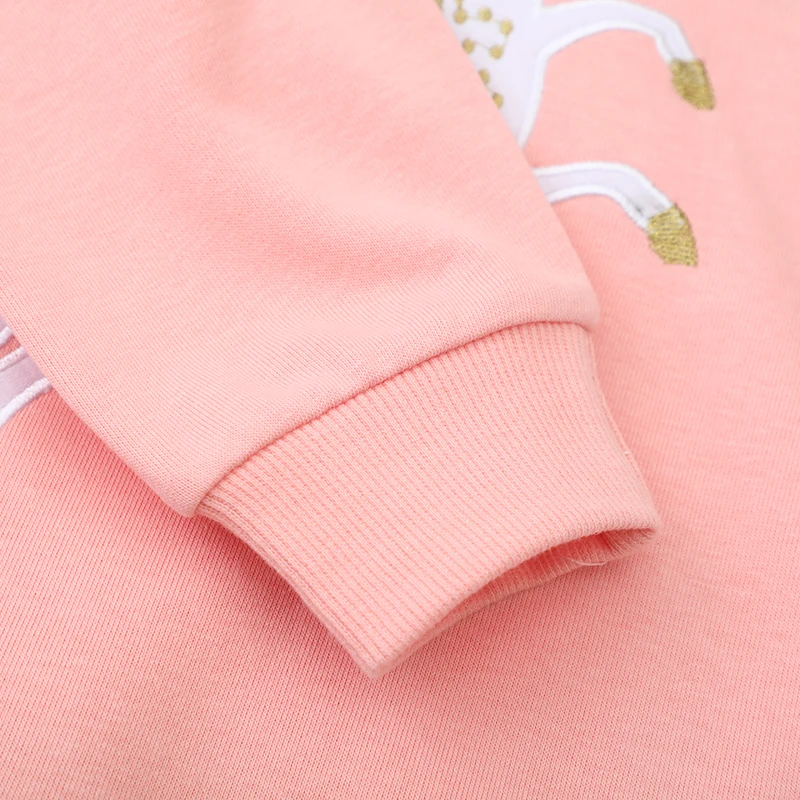 Baby Girls Hoodies Kids Clothes Children's Clothing 2025 New Autumn Spring Embroidery Unicorn Infants Sweatshirts