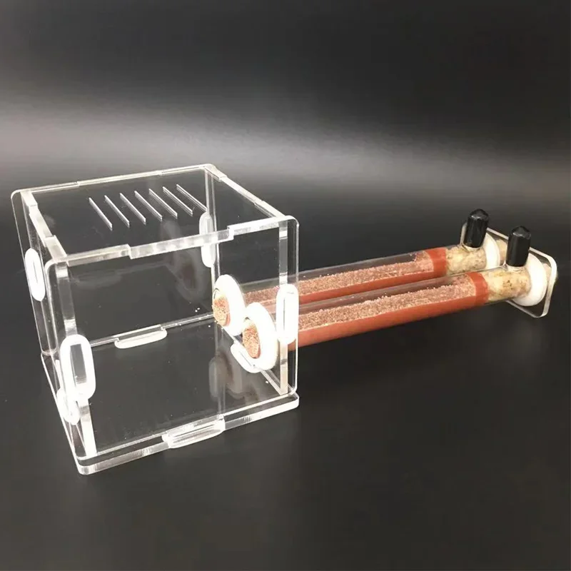 Bamboo Tube Ant FarmBamboo Tube Ant Farm 2