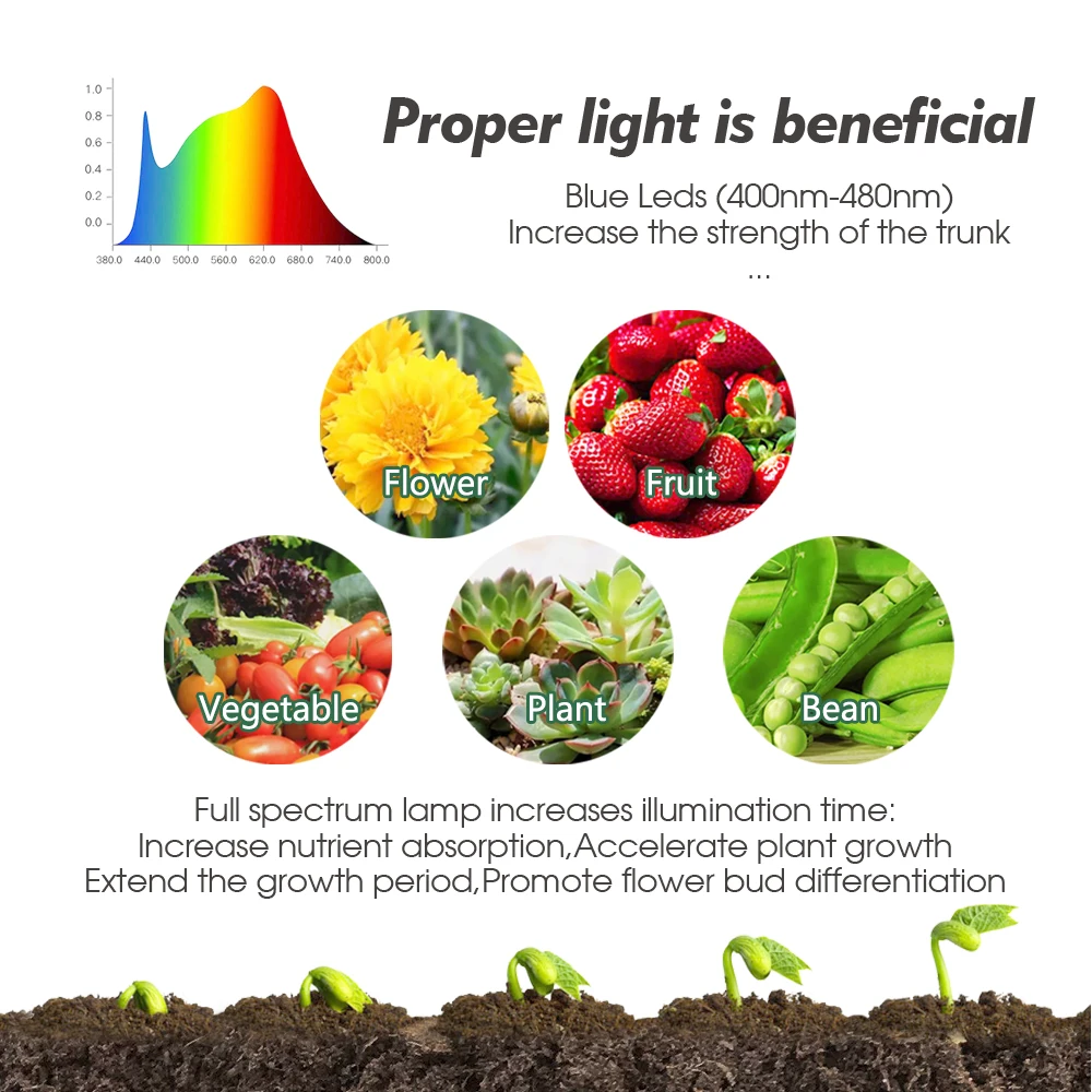 11CM 12-Cell Seed Starter Tray with Full Spectrum LED Grow Light Plant Germination Grow Box with Hole Indoor Garden Seed Growing