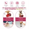 Bully Stick Holder Dog Toy Slow Feeder Ball Food Dispensing Toy for Small Medium Dogs Irregular Rolling Design Dog Toys 2