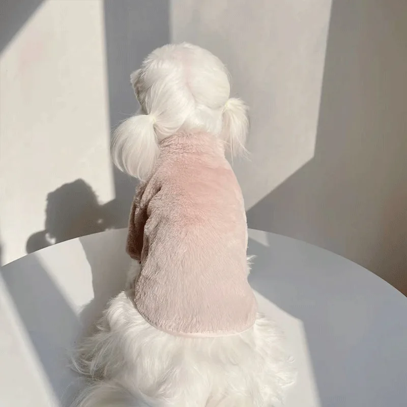 두꺼운 토끼 모피 긴팔 한국 인스 재킷, 따뜻한 코튼 재킷, 개 고양이 애완동물 의류, 가을 및 겨울