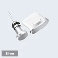 Sliver
