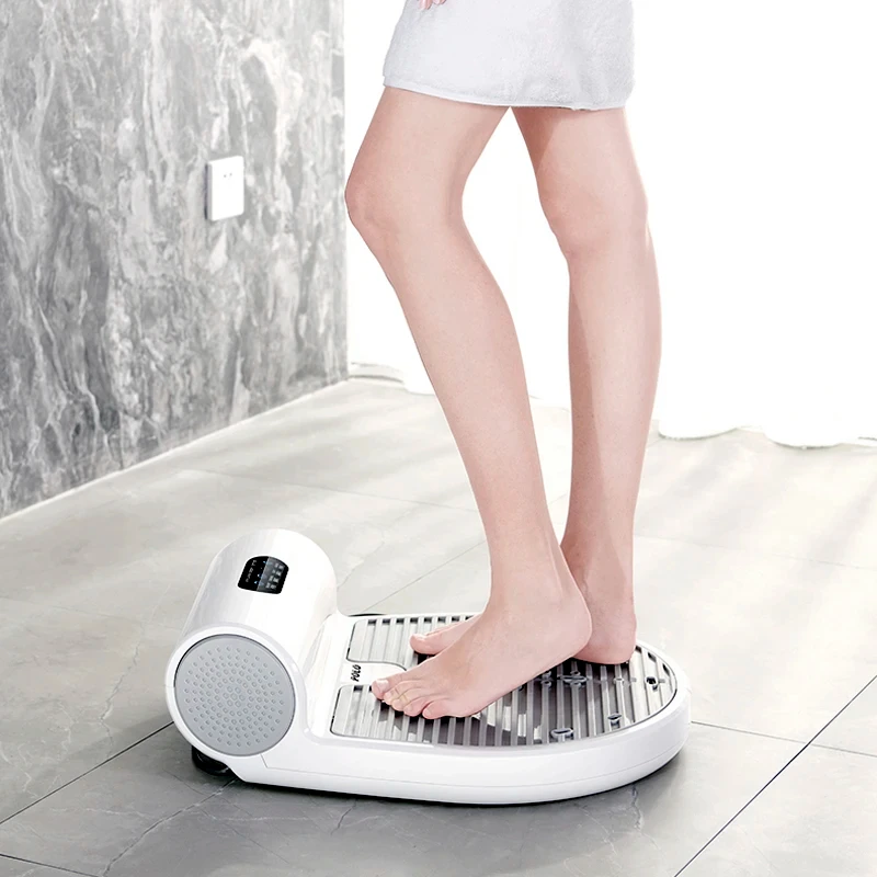 욕실용 냉난방 모드 바디 드라이어, 음이온 인체 피부 건조기, 고출력 핸드 드라이어, 110V, 220V 