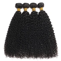 Indien crépus bouclés cheveux humains 1 3 4 paquets traiter cheveux bruts Original Tissage cheveux humains en vente profond bouclés Extensions de cheveux naturels 3