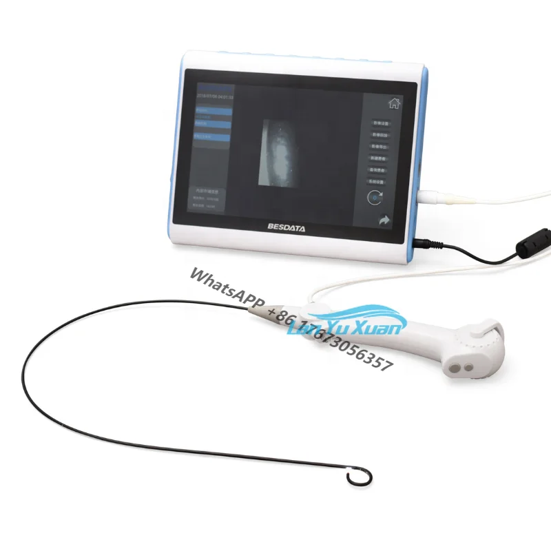 

Low Price Hot Selling Medical Disposable Flexible Urological Set Ureteroscope Ureterorenoscope with Inspection