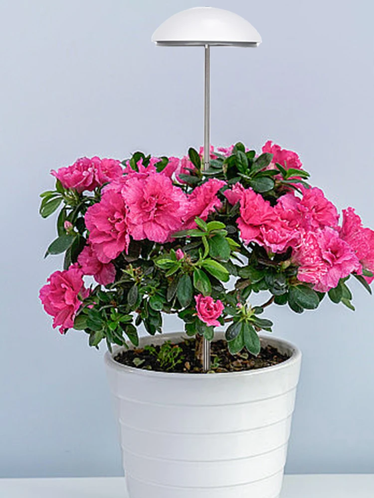 S0c1f4ac827f44eaaa5c51be4a89aff19l