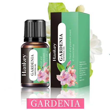 Assorted 20-Flavor Essential Oil Collection for Aromatherapy and Home Fragrance