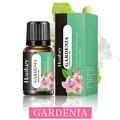 Gardenia