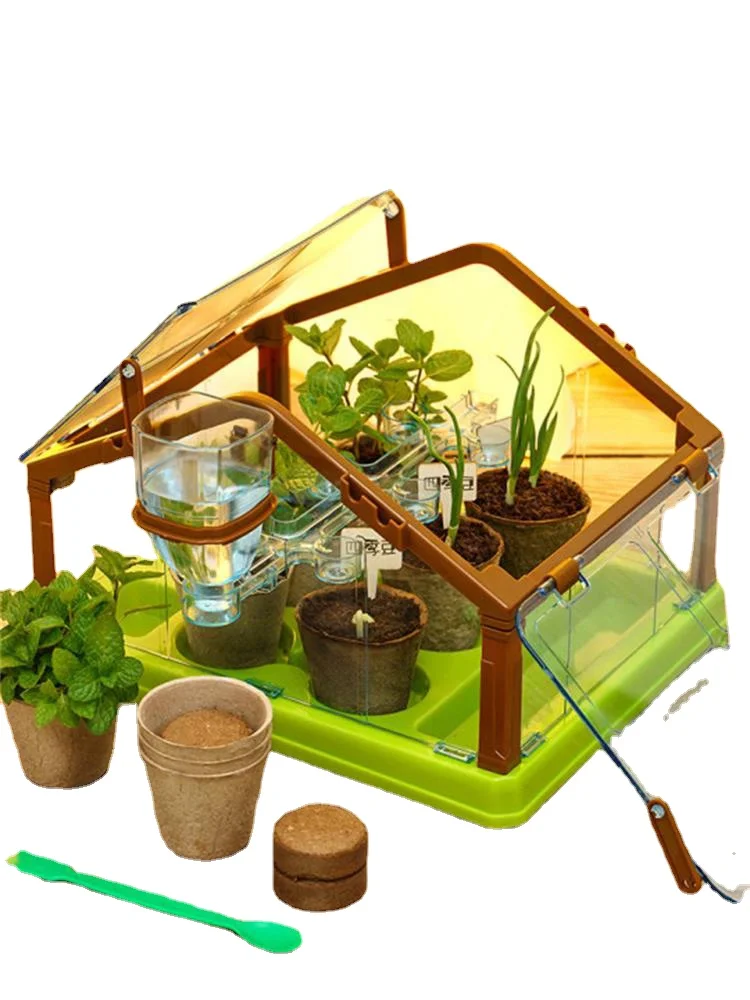 Sunshine Room Planting, Children's Vegetable Planting Toys