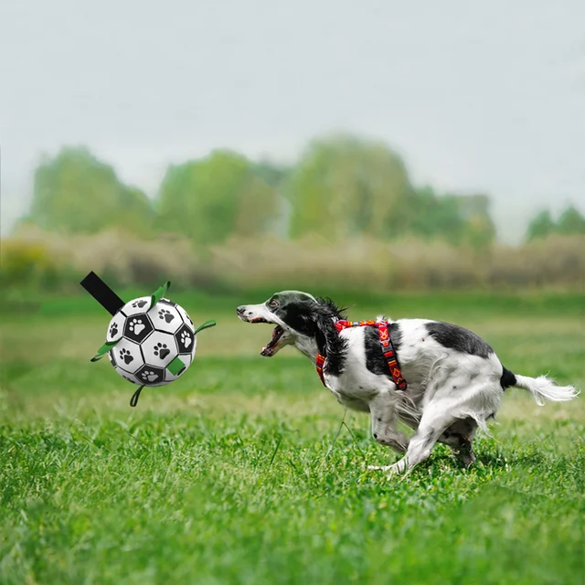 Dog Football Toy Pet Dog Toy Dog Interactive Toy Small Medium Breeds Soccer Ball Ball Against Dog Best Dog Toy Products For Dog 3