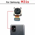 M31s Back Main