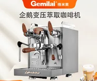Gemini Penguin Commercial Semiautomatic Italian Coffee Machine CRM3124G Milk Tea Shop Onsite Grinding Coffee Steam Machine 1