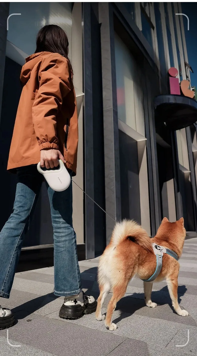 Pet Traction Rope Expansion Controllable Safety - PeticaDeals