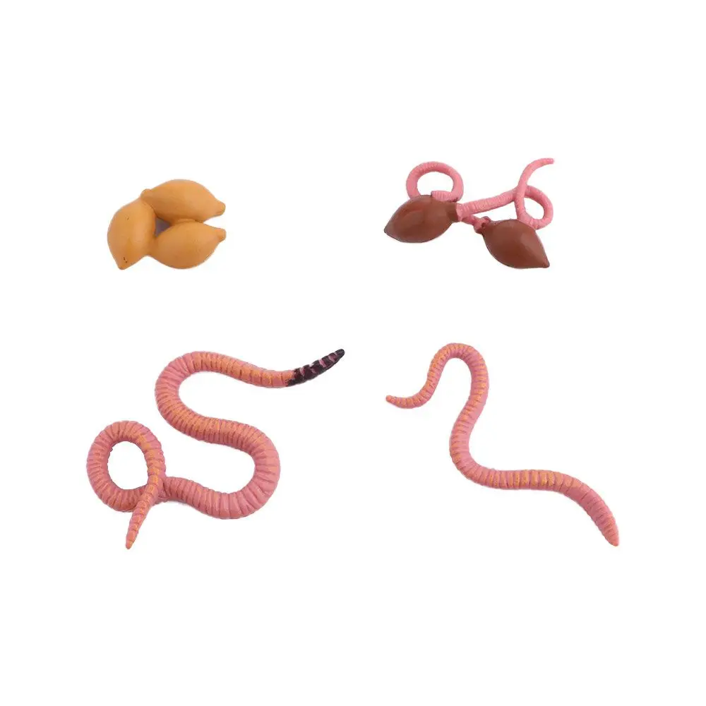 Science Sea Life Simulation Insect Earthworm Children Animals Figurines Salmon Realistic Life Cycle Growth Cycle Model Octopus 6