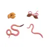 Science Sea Life Simulation Insect Earthworm Children Animals Figurines Salmon Realistic Life Cycle Growth Cycle Model Octopus 6