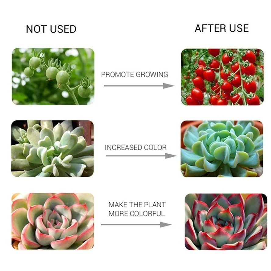 Full Spectrum LED Grow Light COB Chip for Indoor Plant and Flower Growth