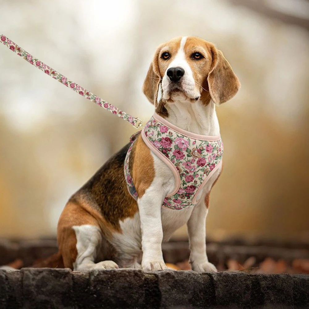 Floral Pet, Puppy Harness Vest, ajustável para