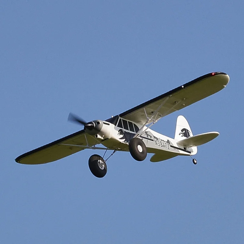 Détail du cockpit et des ailes du modèle Ruifei V3 Float Bowl 1400mm