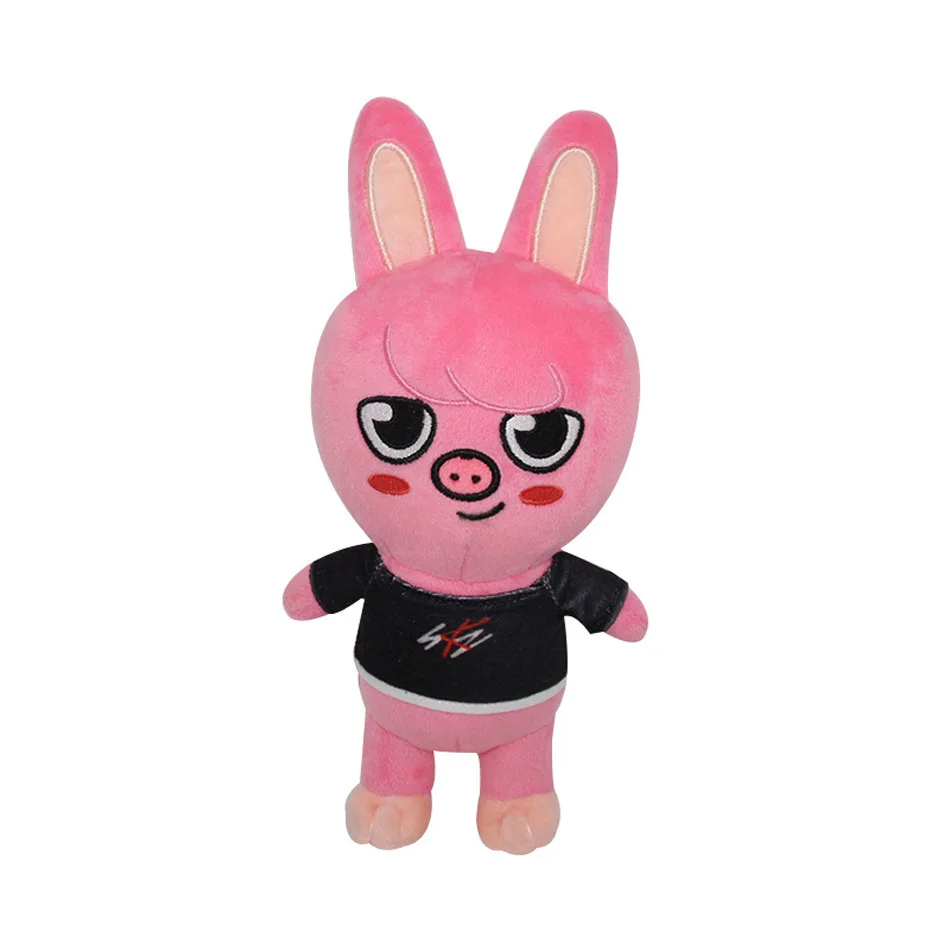 Hot 20Cm 8 Stuks Skskoo Pluche Speelgoed Kawaii Stray Kid Schattige Pluche  Cartoon Knuffel Pop Kawaii Metgezel Voor Kinderen Volwassenen Cadeau -  AliExpress