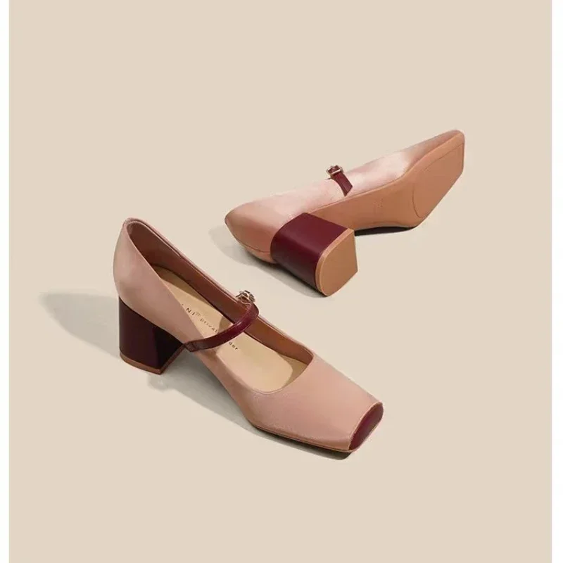 Women Spring Luxury Mary Jane Shoes Autumn Fashion Square Toe Shallow Ladies Elegant Dress Single Leather Shoes Square Heel Pump 5