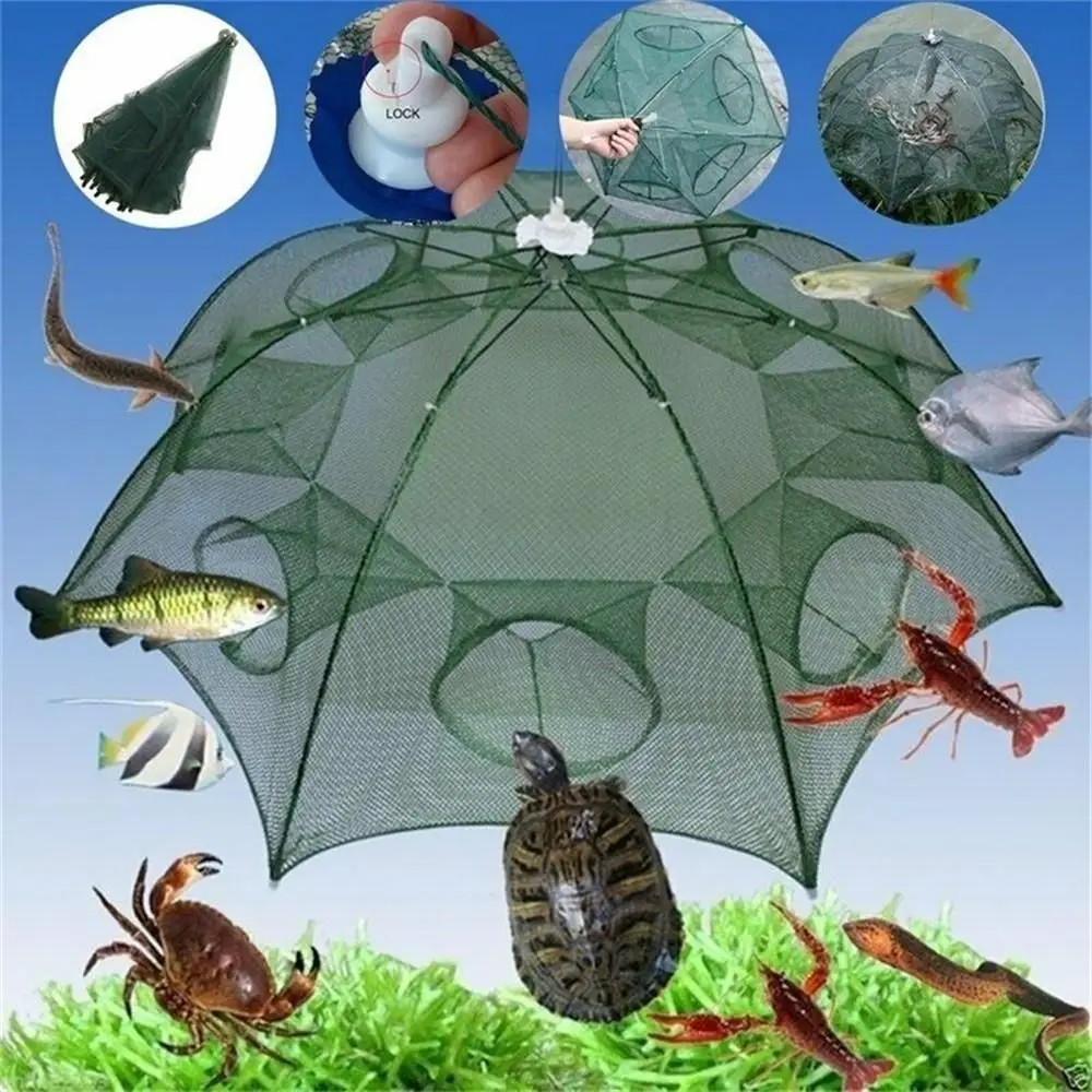 Foldable Fishing Bait Trap Crab Net Crawdad Shrimp Cast Dip Cage Fish  Minnow USA