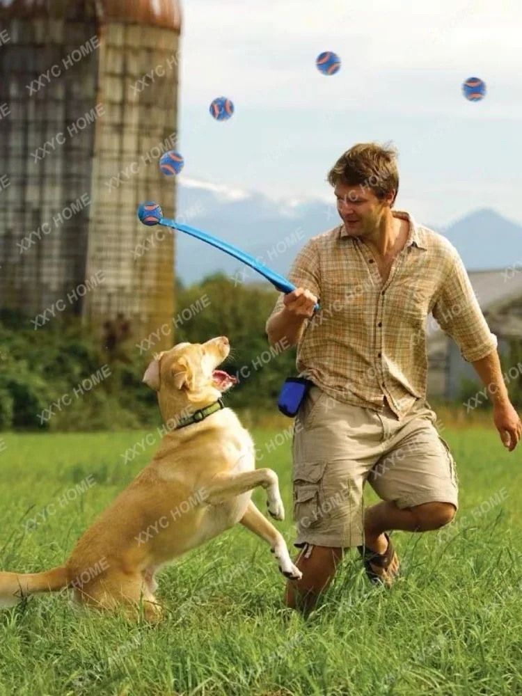 Pet Elastic Rubber Ball Luminous Ball Golden Retriever/Border Collie Training Tour Bite-Resistant Floating Water Dog Toy