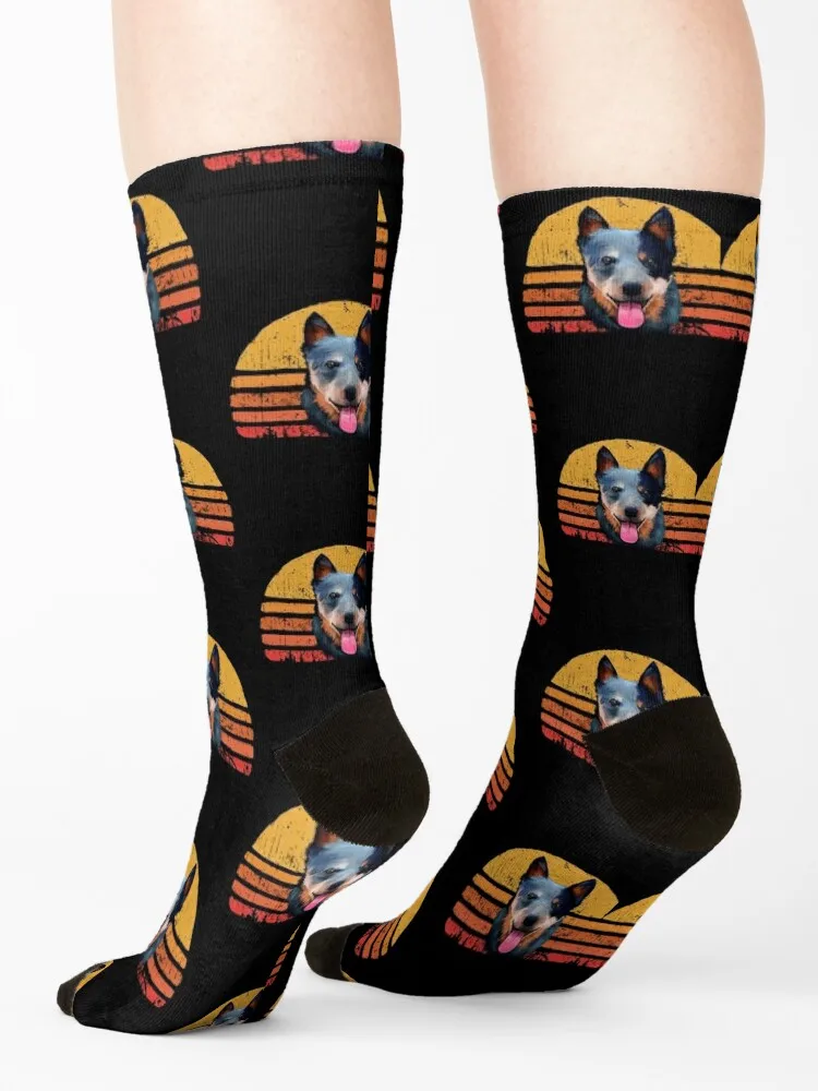 Australian Cattle Dog Vintage, Retro Australian Cattle Dog Sunset, Australian Cattle Dog Mom, Australian Cattle Dog Dad, A Socks