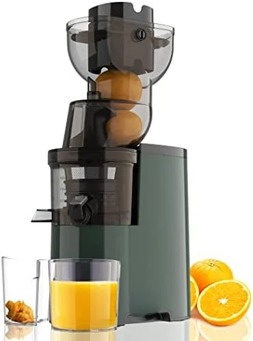 

Juicer, 250W Professional Slow Juicer with 3.5-inch (88mm) Large Feed Chute for Nutrient Fruits and Vegetables, Cold Press Juic