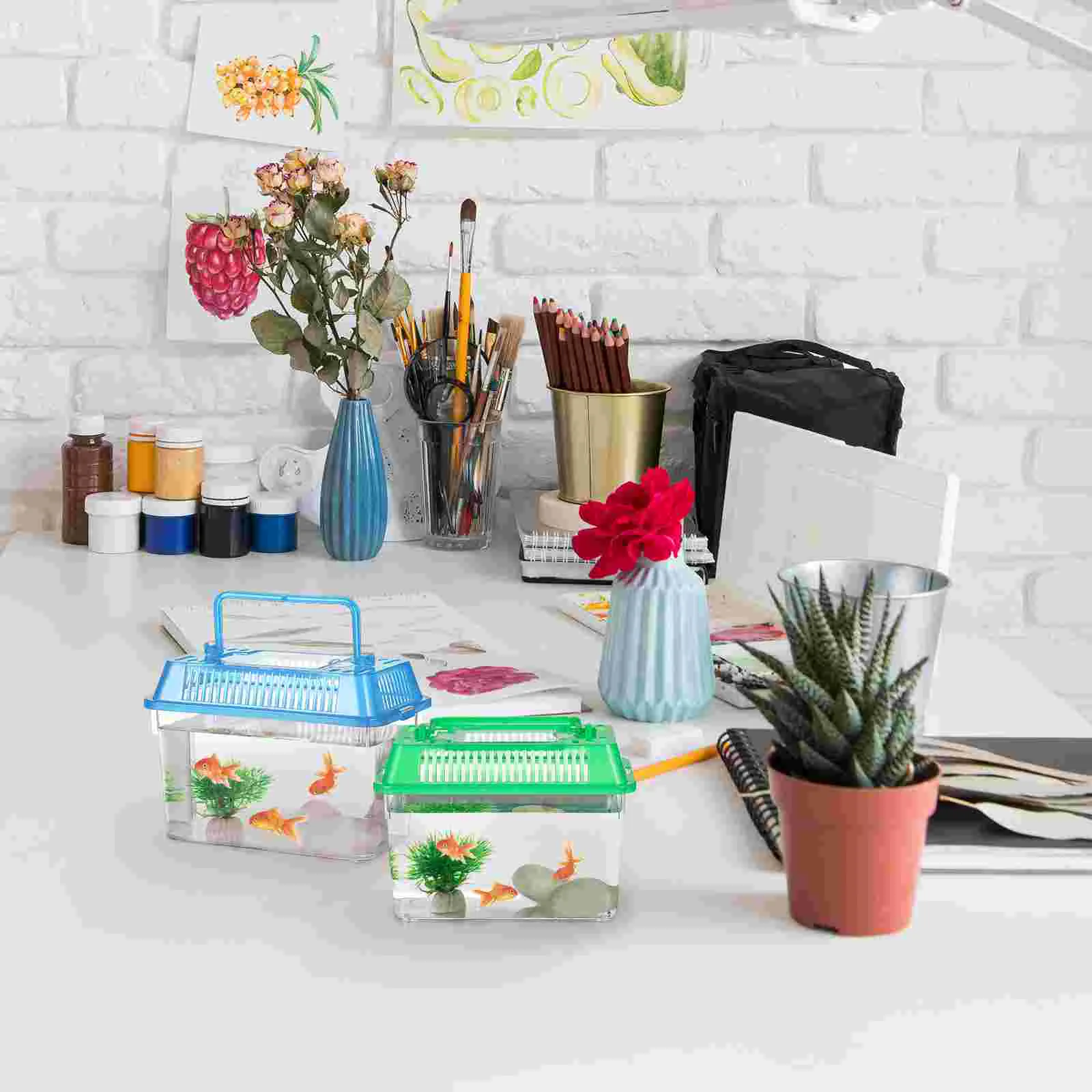 4 Pcs Mini Portable Fish Tank Small Turtle Accessories for Transparent Tortoise Holder Plastic Breeding with Cover Child