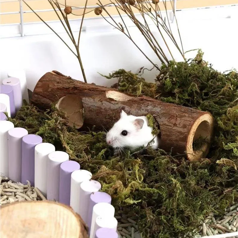 Natural Apple Wood Chew Toy