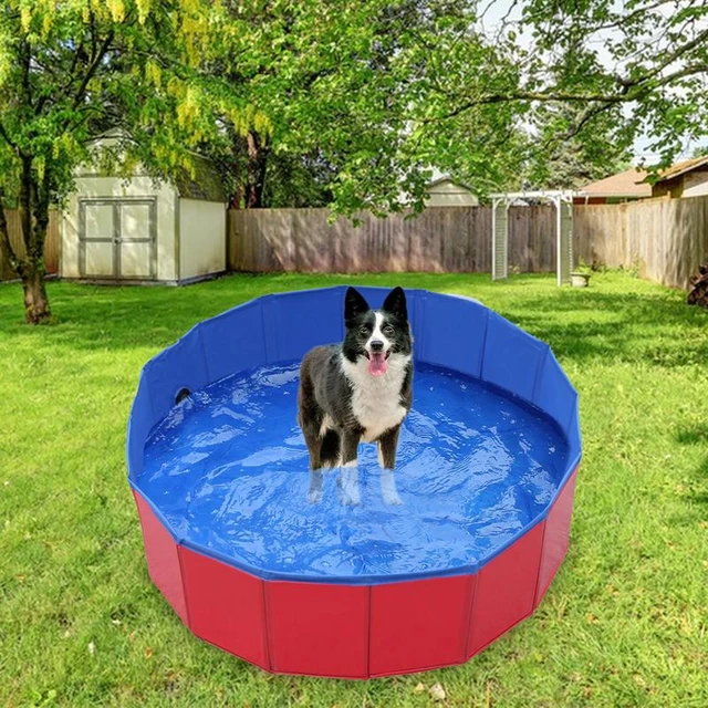 Dog Pool Cover Round Easy Set Winter Pool Cover Foldable Pet Bath Pool  Cover Above Ground Bathing Tub Kiddie Pool Cover Portable - AliExpress