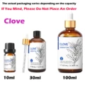 Clove