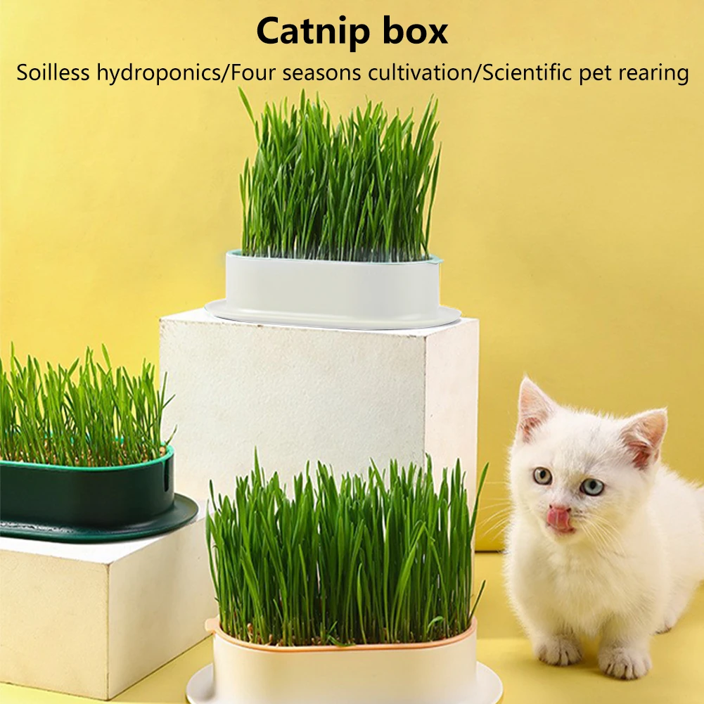 Boîte de plantation hydroponique pour chat, sans sol, propre, sans odeur,  kit domestique, 3 pièces - AliExpress