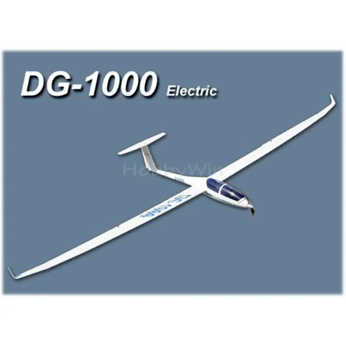 DG-1000 Electirc Glider 2630mm ARF Fiberglass  Wood RC Model Sailplane 3
