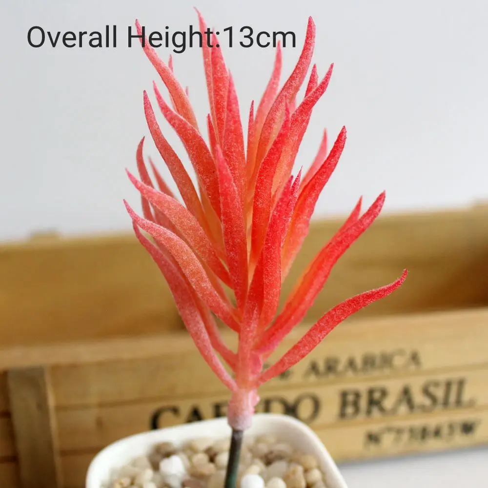 Vibrant Multicolor Flocking Succulent Plants