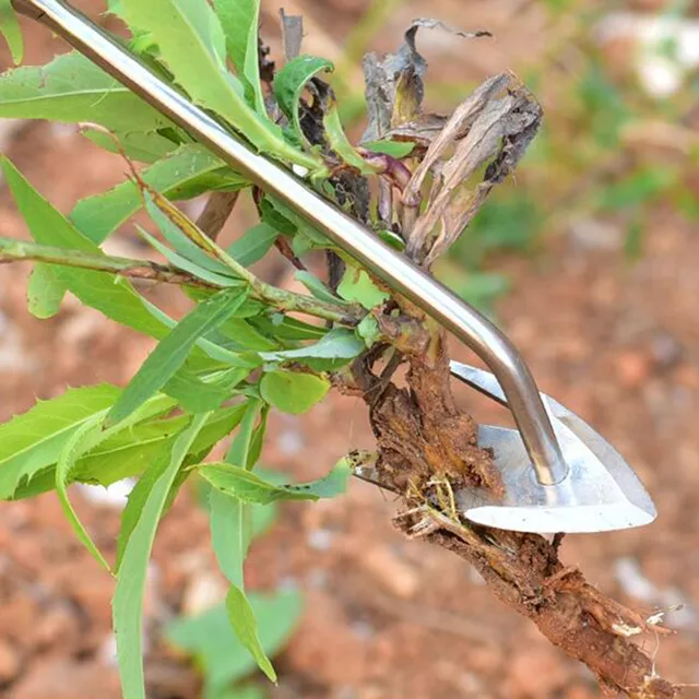 Fafog Fogantyú Rozsdamentes Acél Weeder Garden Gyökér És Fű Eltávolító Kertész Szerszám Kert Kézi Gyomláló Edények - Image 3