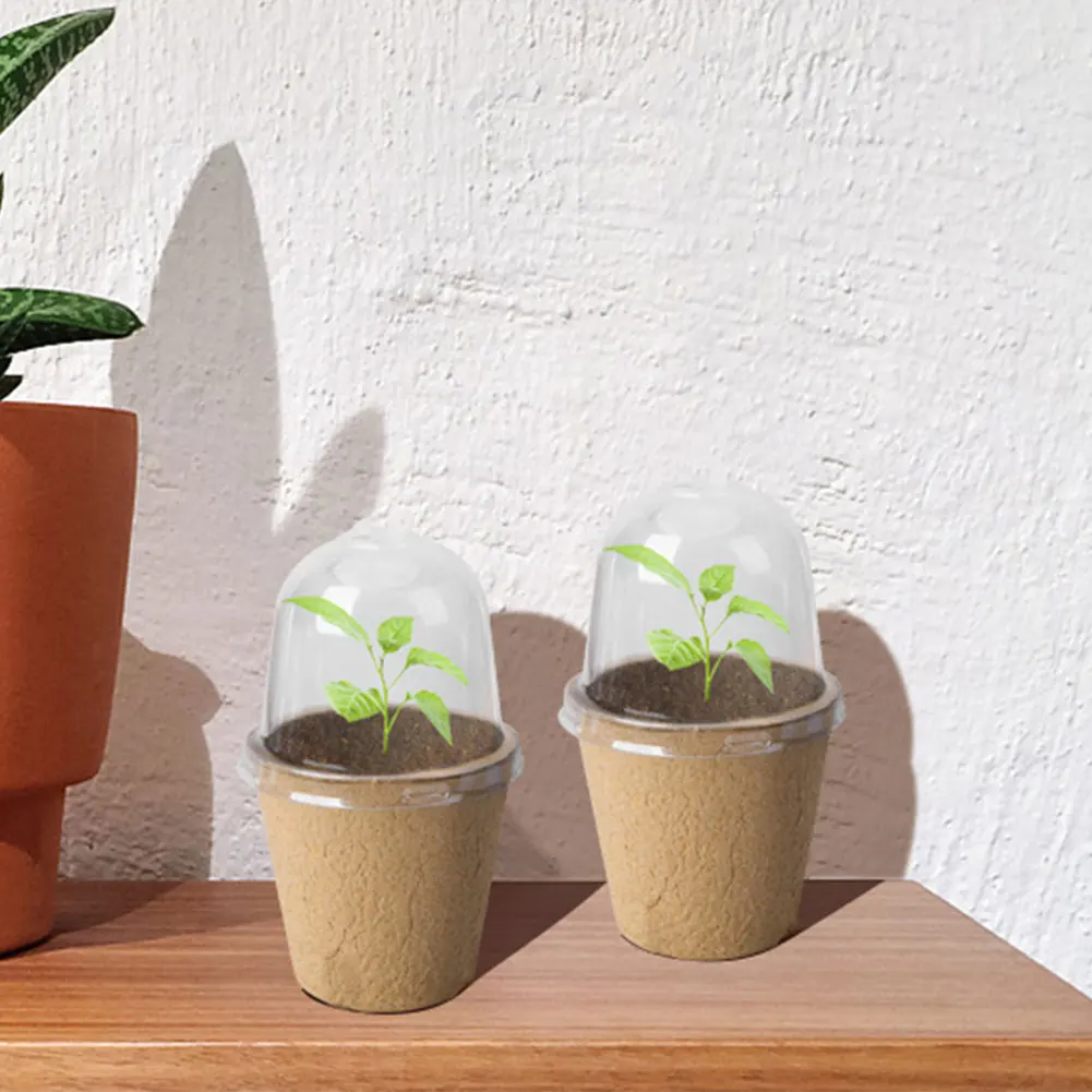 Eco-Friendly Seedling Cups with Transparent Dome for Germination Biodegradable Garden Planters 10 Pcs Set