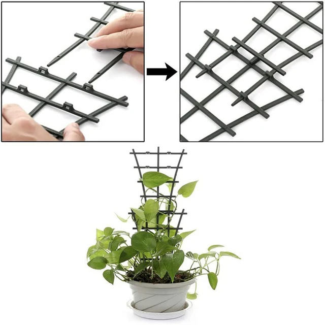 7 Shapes Plant Support Stand Plastic Cactus Racket Climbing Frame Balcony Flower Potted Fixed Rod Tomato Strawberry Supporter 5