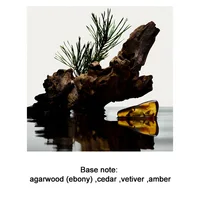 Eau de Parfum pour Homme Woody, parfum longue durée avec des notes de bois de santal et de cèdre, flacon élégant vintage, parfum masculin frais 5