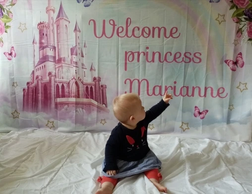 Newborn Baby Shower Backdrop Butterfly Flowers Princess Girl Happy Birthday Party Photography Background Decor Banner photo backdrop