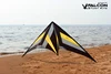 250cm Professional Stunt kite Falcon kites flying Ballet Formation Kite factory Freilein kite dual line for adults Power kite 3