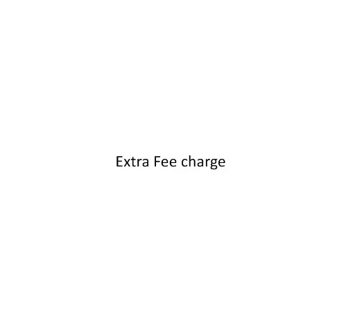 цена Extra Fee charge