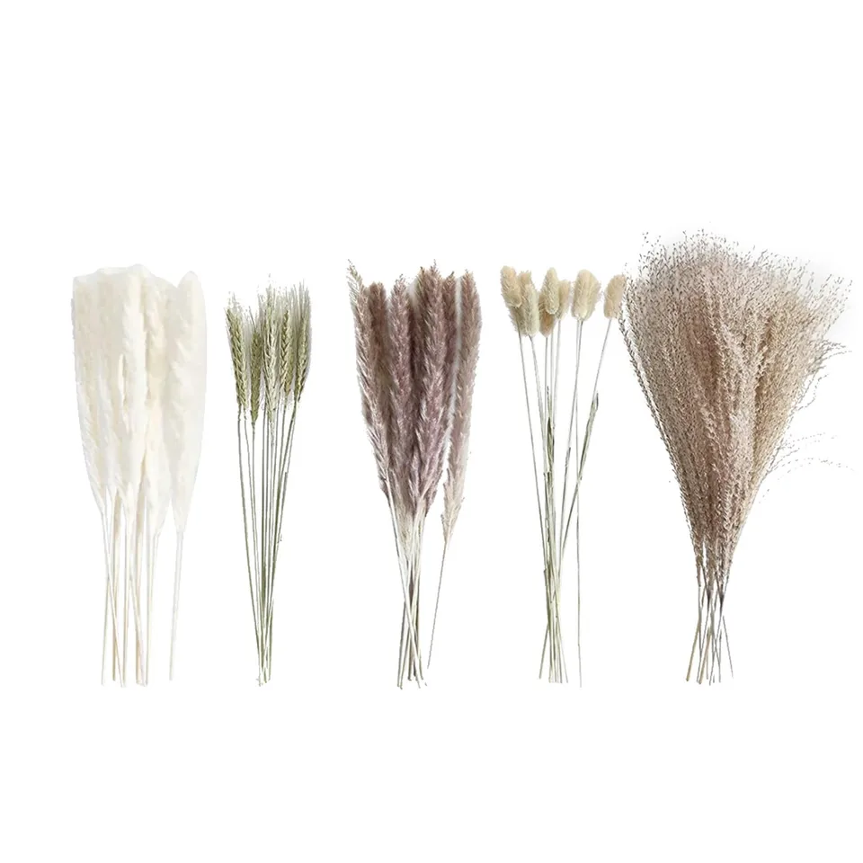 Natural Dried Flower Bouquet Decorative Whisk Arrangement