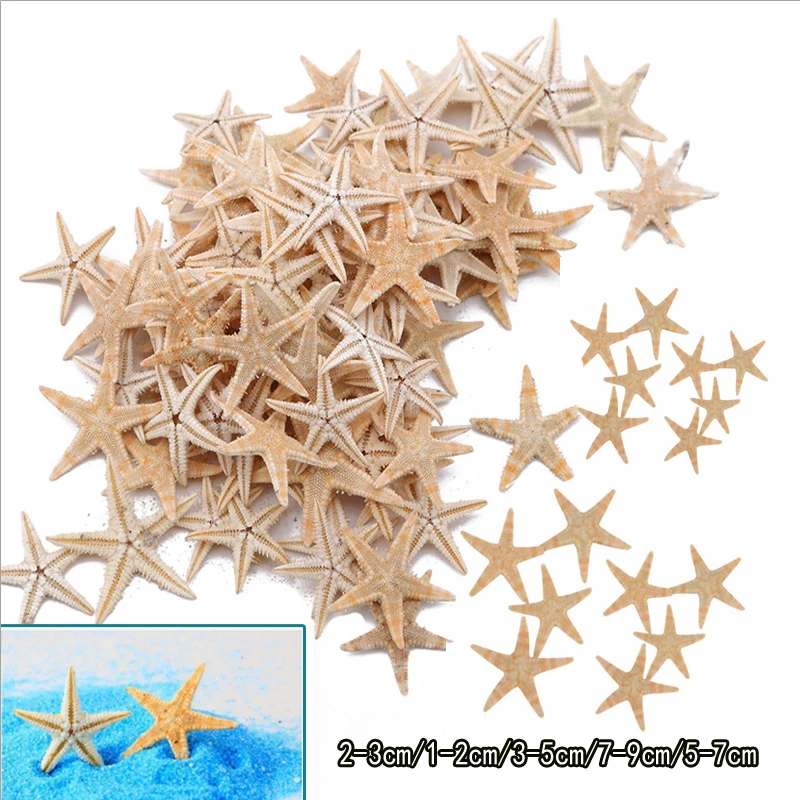 Natural Shell Ornaments 5/25/50pcs Mini Starfish Shell Craft Decoration Sea Stars DIY Beach Cottage Wedding Decor sea shells party sea conch