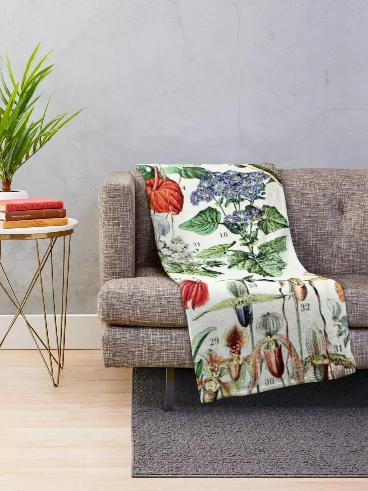 Adolphe Millot - Fleurs D-������ ��Ƽ�� ������ ������ ���, �ٸ��� ���� ���, ���� ���� ���