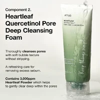 Anua Heartleaf Dual Cleansing 2-in-1 Pore Control Cleansing Oil and Deep Facial Cleanser Double Cleansing Korea Skincare Set 2
