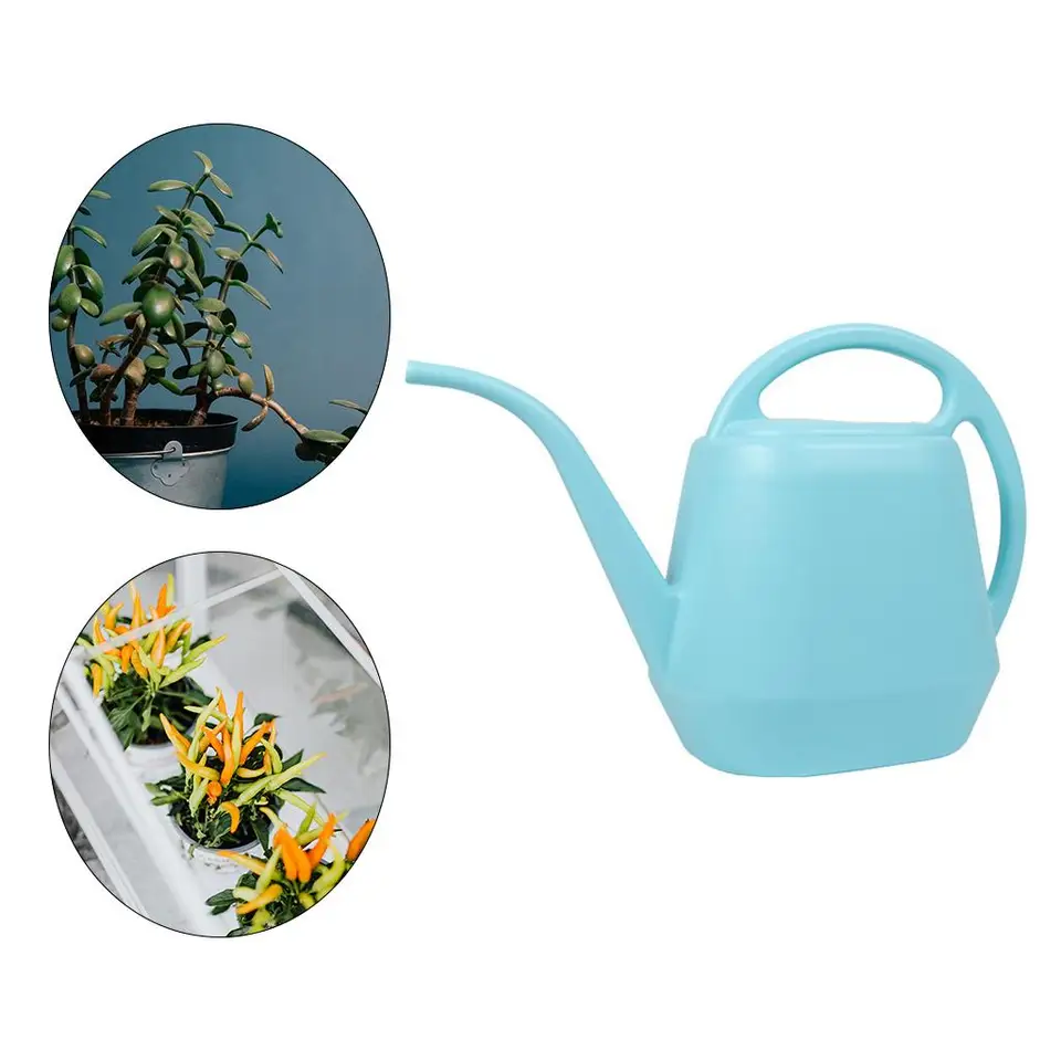 HELGUEFER Annaffiatoio In Plastica 3L Con Ugello Di Precisione - Leggero E Resistente Per Giardino E Casa