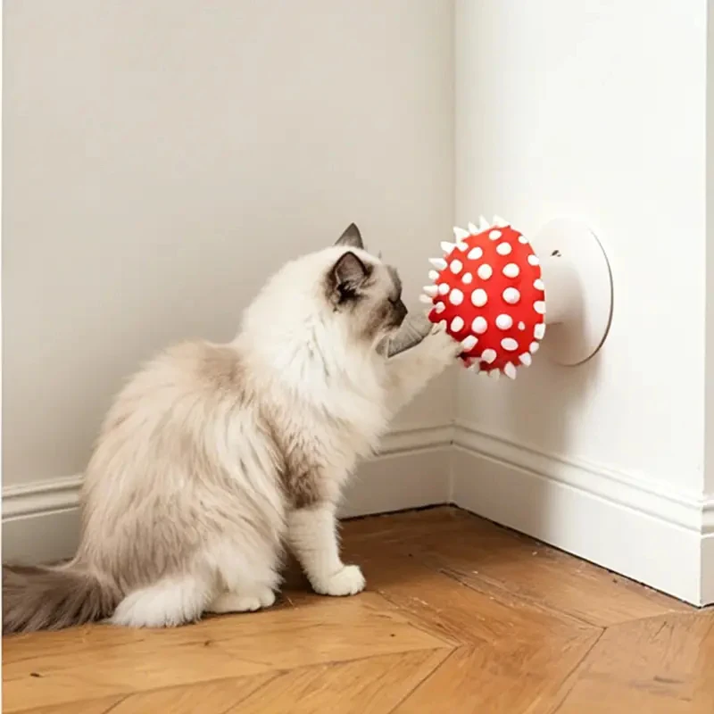 Kattenborstel met paddenstoelvormige, stabiele kam voor kortharige puppy's en kittens, geschikt voor dagelijks borstelen en als spa-massagetool voor huisdieren._voghion.com