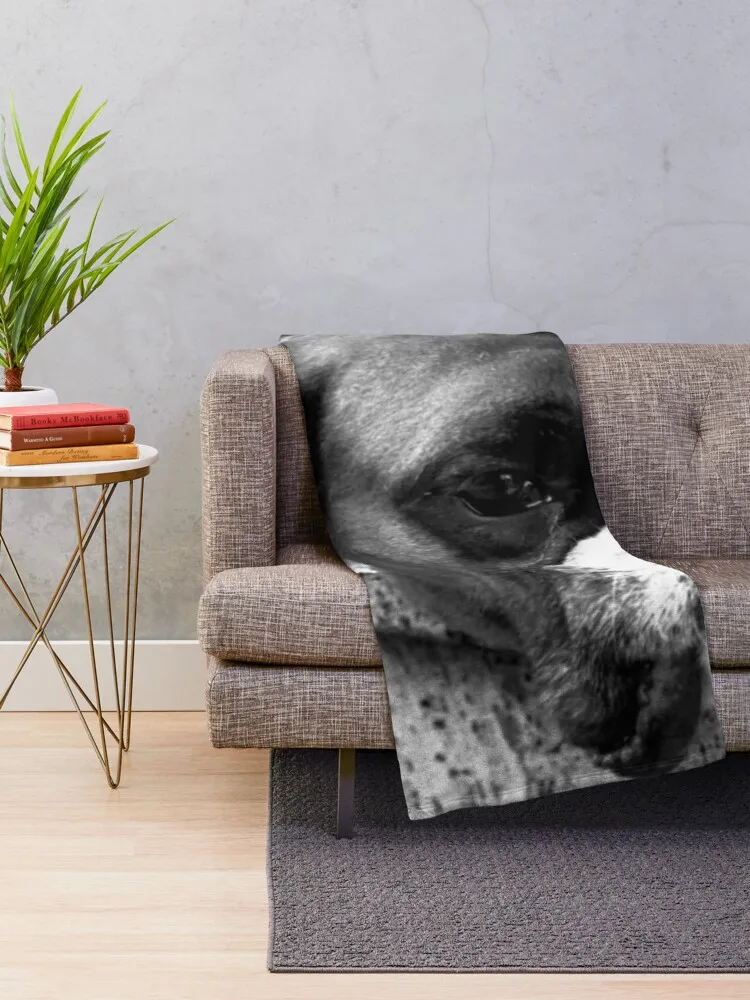 â�� ������ ���, ������ ��� �ؼ��翡 ���� ��