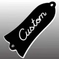 Custom1